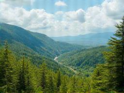 Landscape photography workshop